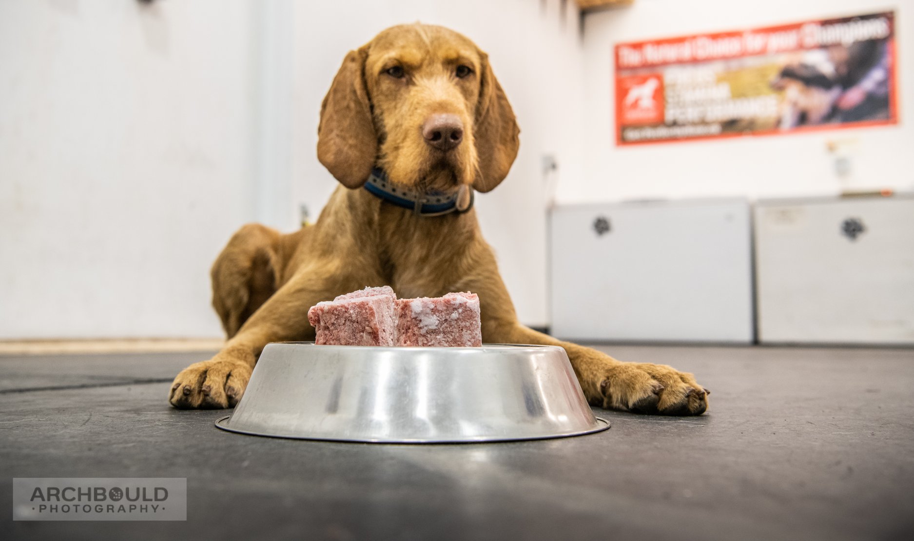 Canines & Company Raw Nutrition